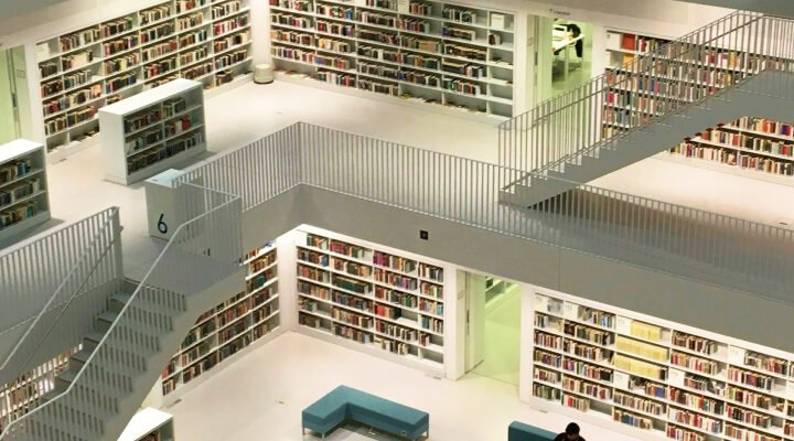 climbear-crm-comment-le-choisir-et-en-tirer-le-meilleur-parti